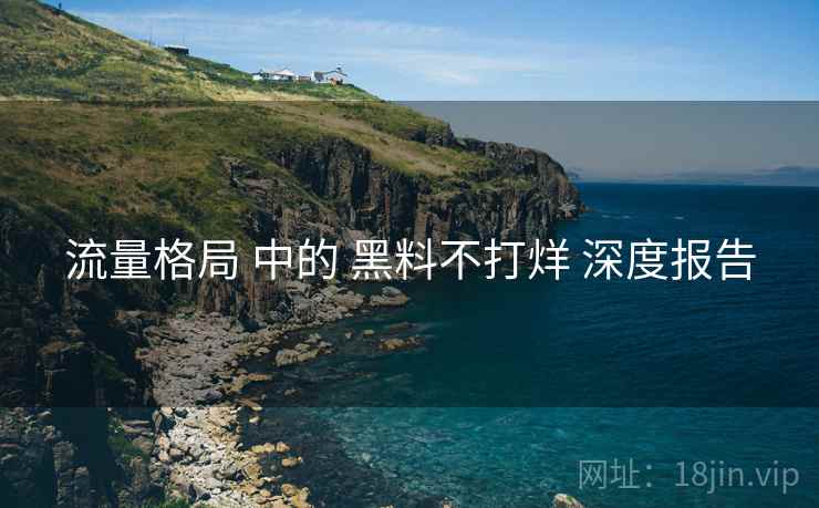 流量格局 中的 黑料不打烊 深度报告  第1张
