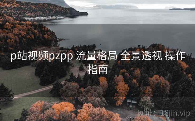 p站视频pzpp 流量格局 全景透视 操作指南 第1张 p站视频pzpp 流量格局 全景透视 操作指南 第1张