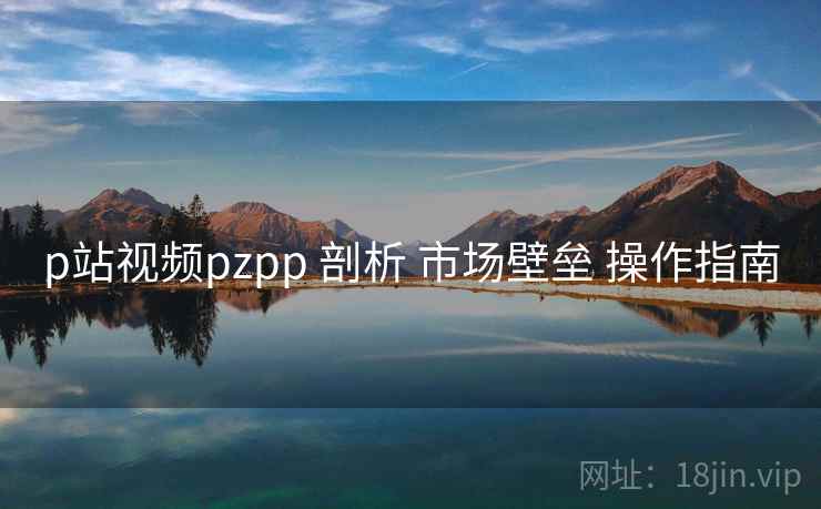 p站视频pzpp 剖析 市场壁垒 操作指南  第1张