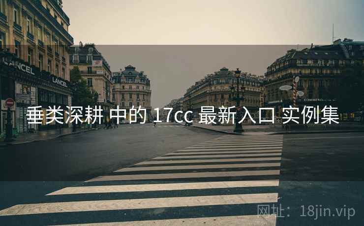 垂类深耕 中的 17cc 最新入口 实例集 第2张 垂类深耕 中的 17cc 最新入口 实例集 第2张