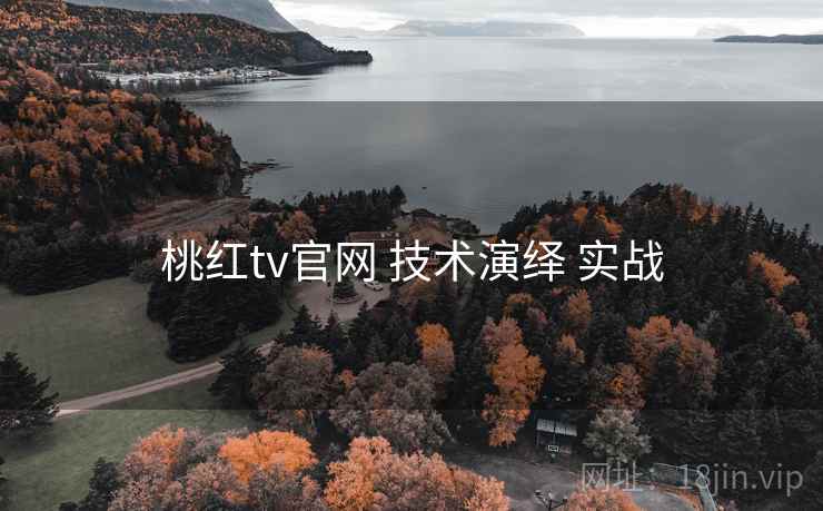 桃红tv官网 技术演绎 实战  第1张