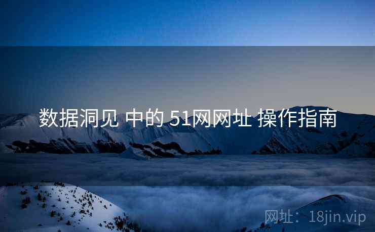 数据洞见 中的 51网网址 操作指南  第1张