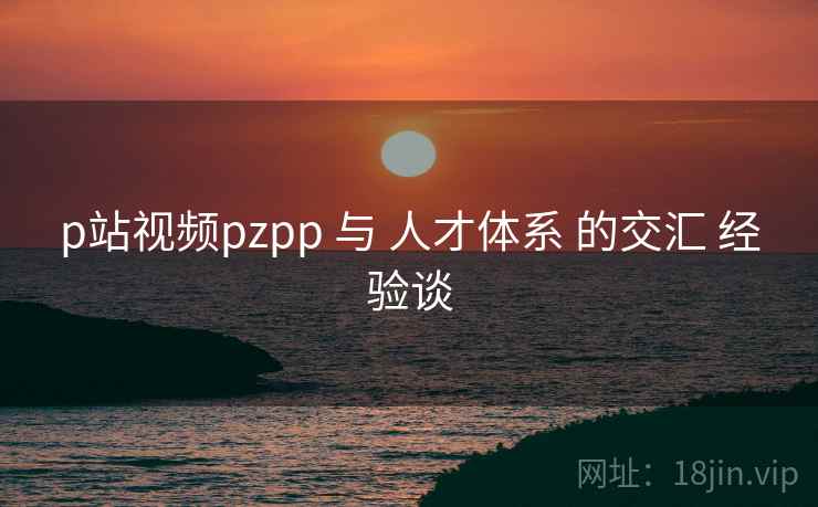 p站视频pzpp 与 人才体系 的交汇 经验谈  第2张